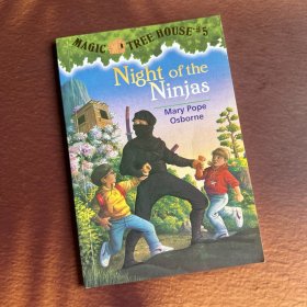 Night of the Ninjas