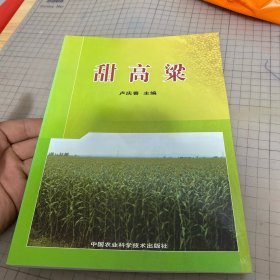 甜高梁