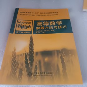 高等数学解题方法与技巧/新核心理工基础教材