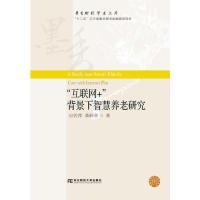 “互联网+”背景下智慧养老研究 【正版九新】