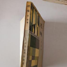 中国大众文学丛书：迷阵