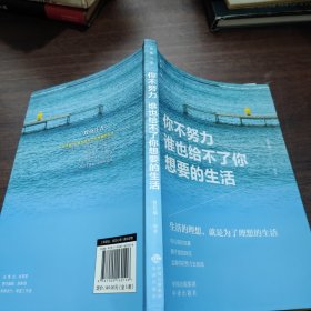 你不努力，谁也给不了你想要的生活