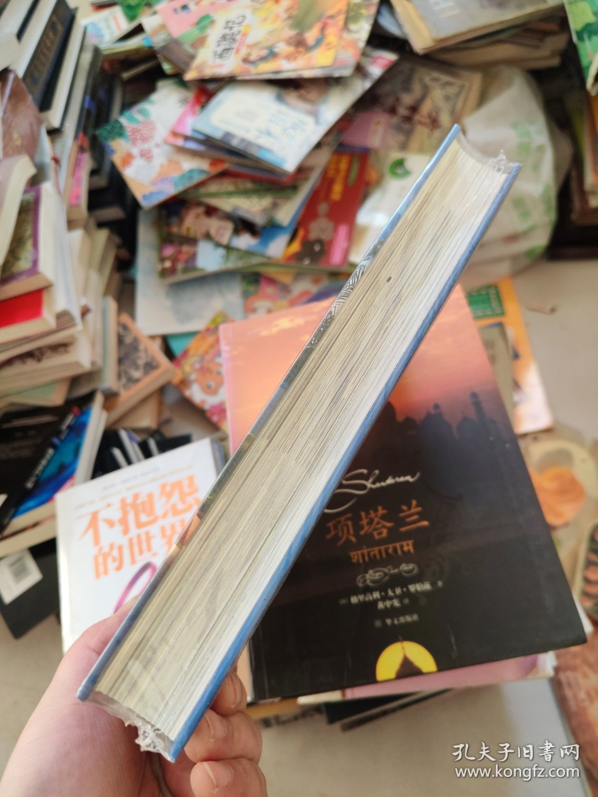 一个普通人的帝王生活(我住过的54家世界顶级酒店)(精)