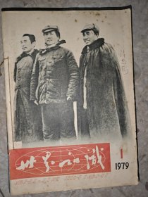 世界知识（1979年1-24期合订本）缺17期 23册合售