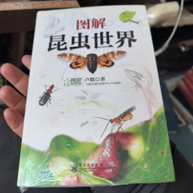 圖解昆蟲世界