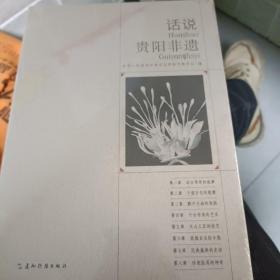 话说贵阳非遗