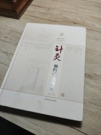 針灸獨(dú)特療法聚英