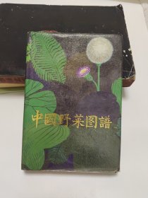 中国野菜图谱 精装