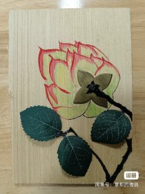 原生态美术品。花卉