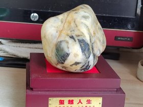 热门品种奇石，大熊猫奇石