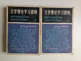 正版 文学理论学习资料（上下册全）修订本