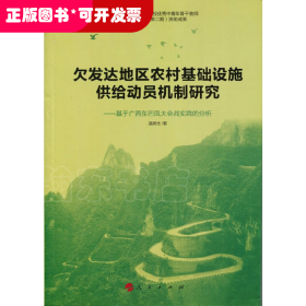 欠发达地区农村基础设施供给动员机制研究