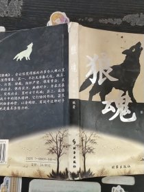 狼魂-强者的经营法则