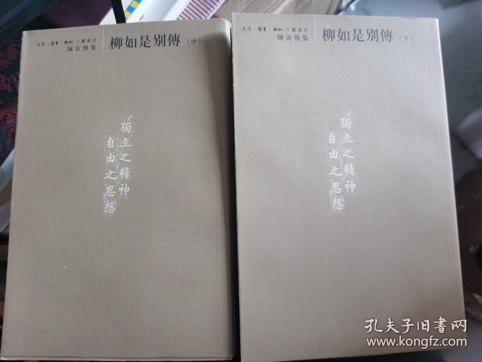 柳如是别传（中下册）