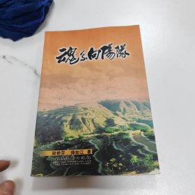 魂系向阳队