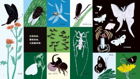 麦田精选图画书 黑白动物大集合