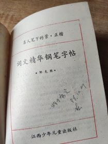 词文精华钢笔字帖