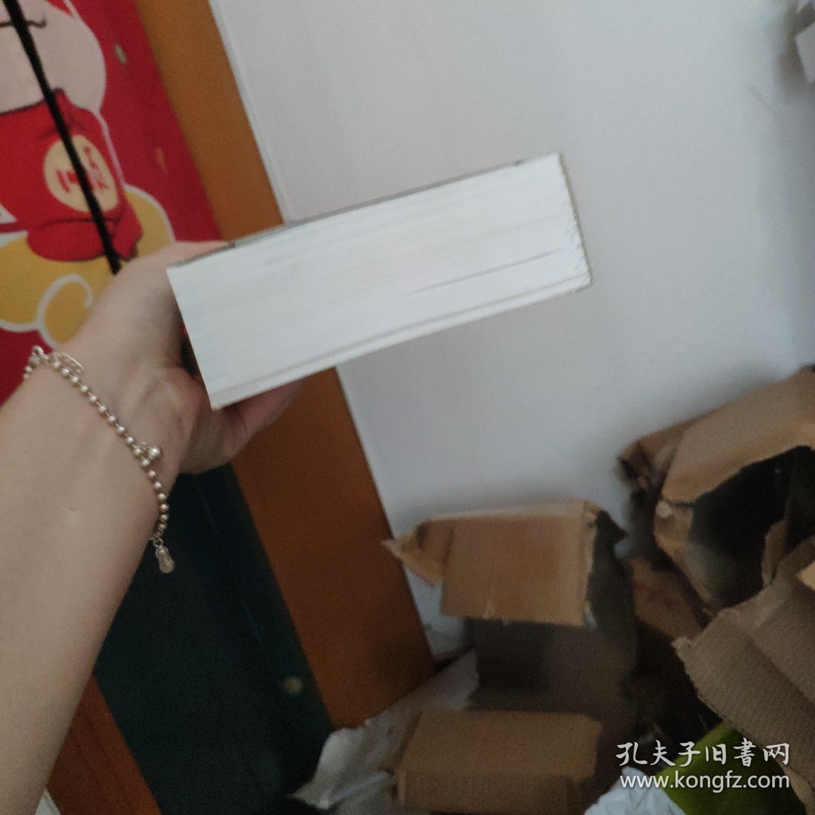 孤独星球Lonely Planet旅行指南系列-法国(第三版）