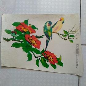 怀旧收藏 旧年画样张 花鸟图案