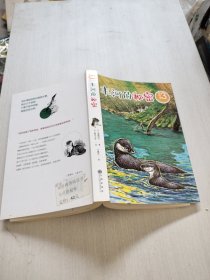 双螺旋童书：冒险者3—丰河的秘密