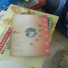 被炉火照彻（张锐锋自选集）