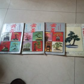 中国盆景流派佳作荟萃2：《江苏扬派盆景+川派+龙华+中国花卉盆景96年7期。4本合售》