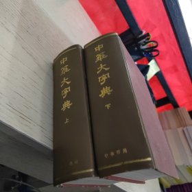 中华大字典上下册