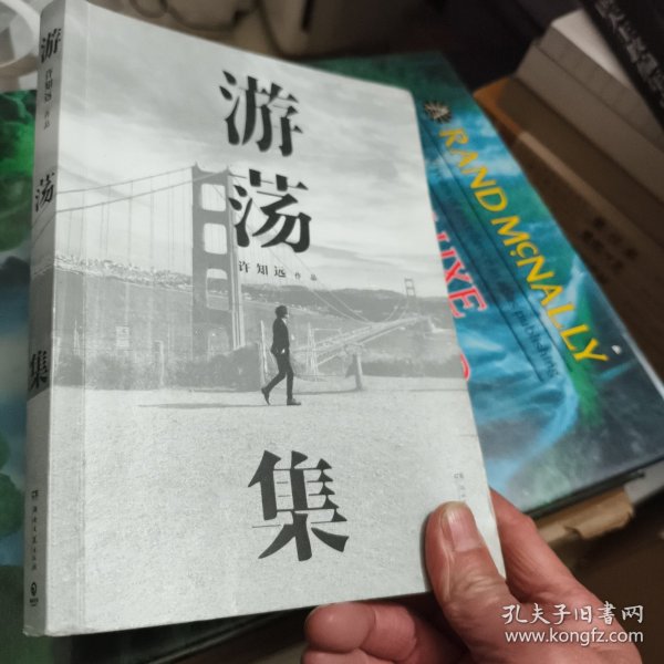 游荡集