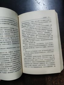 袁崇焕:长篇历史小说