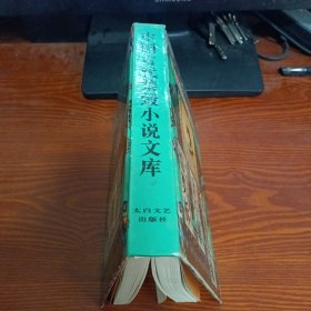 中国古代禁毁小说文库 双凤奇缘 金石缘 情梦柝