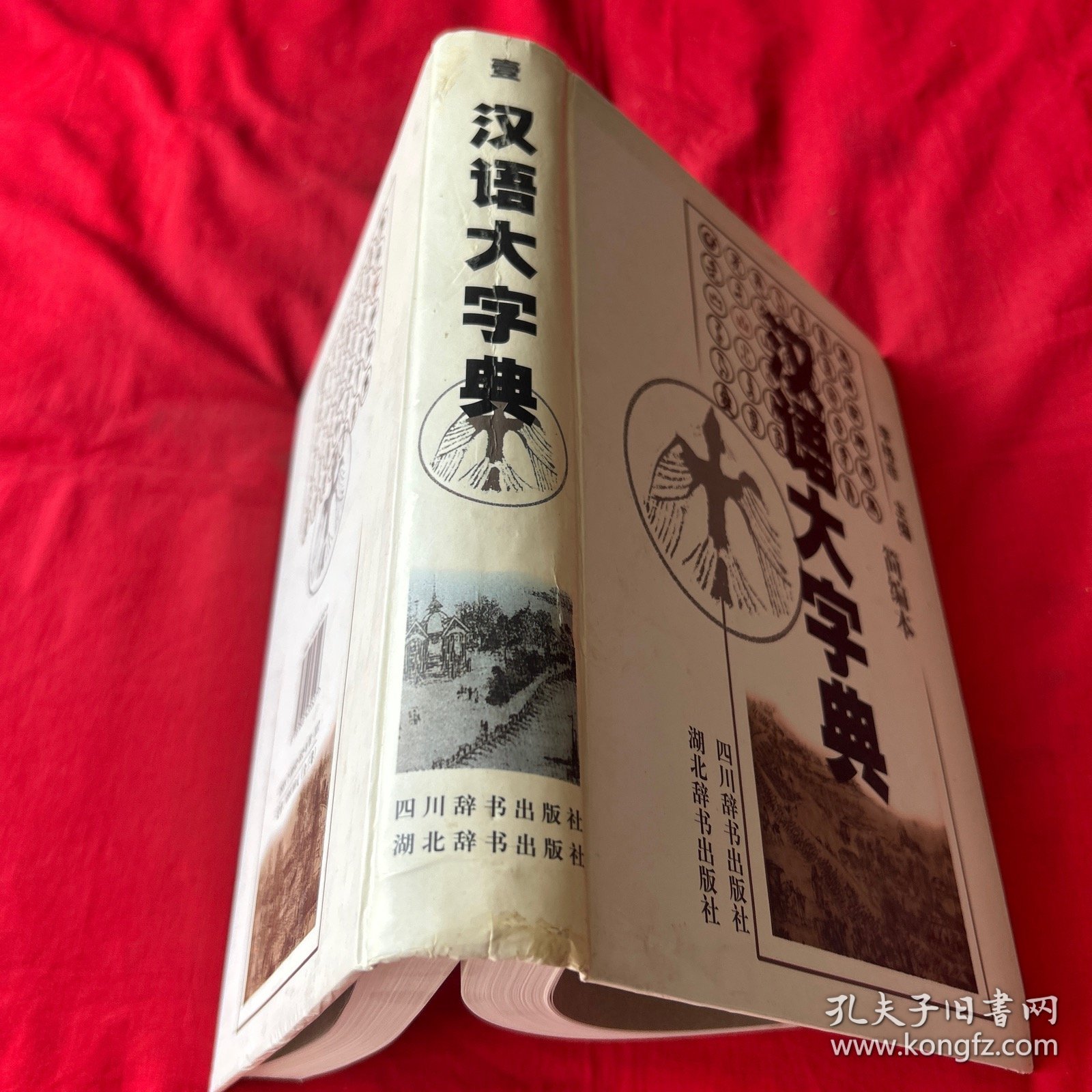 汉语大字典:简编本（1）