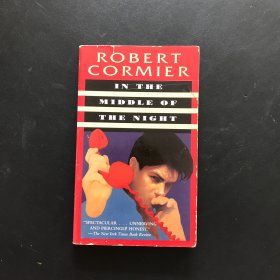 In the Middle of the Night（午夜）青少年小說 英文