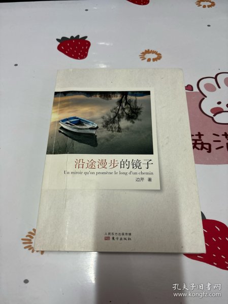 沿途漫步的镜子