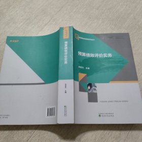 预算绩效评价实务