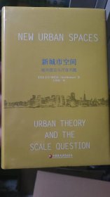 新城市空间：城市理论与尺度问题