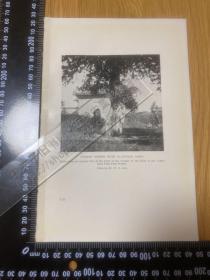 1926年出版物老照片印刷品（背面白页）——[CA07+A0123]——河南中岳嵩山，