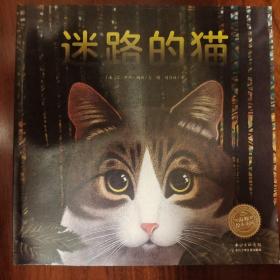 绘本花园：迷路的猫（平）