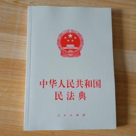 中华人民共和国民法典（大字本）（2020年6月）