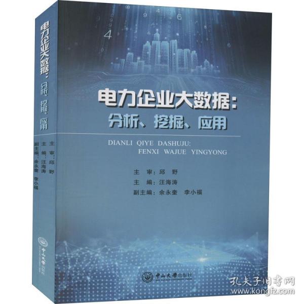 电力企业大数据:分析、挖掘、应用 经济理论、法规  新华正版