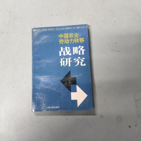 中国农业劳动力转移战略研究