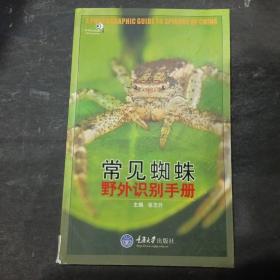 常见蜘蛛野外识别手册