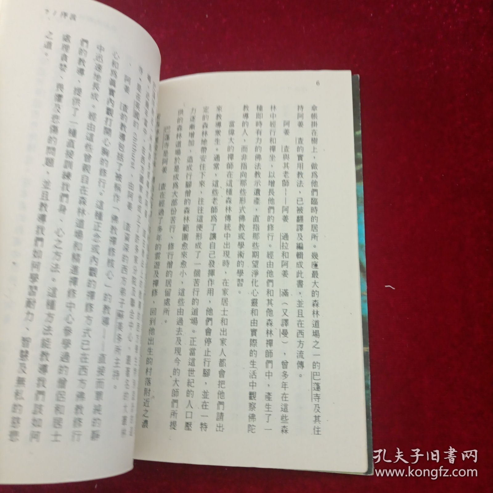 宁静的森林水池：阿姜查的内观禅修