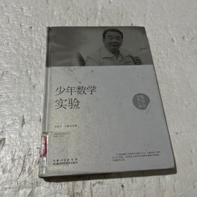 张景中科普文集：少年数学实验