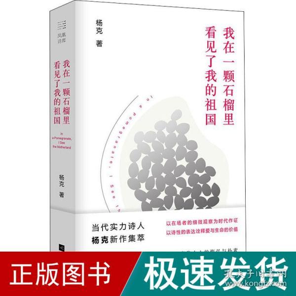 我在一颗石榴里看见了我的祖国 中国现当代文学 杨克 新华正版