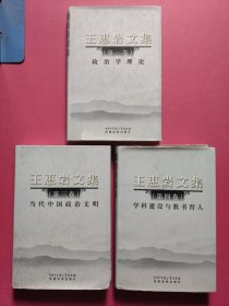 王惠岩文集：第一卷 政治学理论、第三卷 当代中国政治文明、第四卷 学科建设与教书育人（3本合售）精装