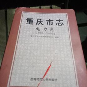 重庆市志. 电力志. 1986～2005