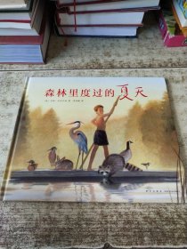 森林里度过的夏天