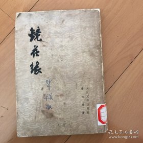 镜花缘（下）