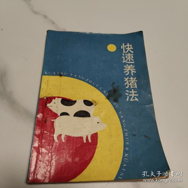 快速养猪法