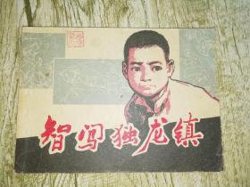 智闯独龙镇
